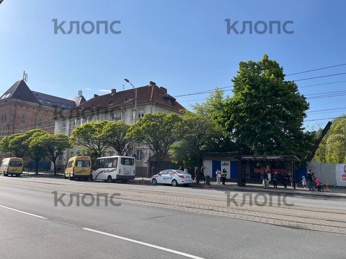 На Черняховского водители маршруток не поделили дорогу в борьбе за пассажиров (фото)  - Новости Калининграда | Фото: «Клопс»