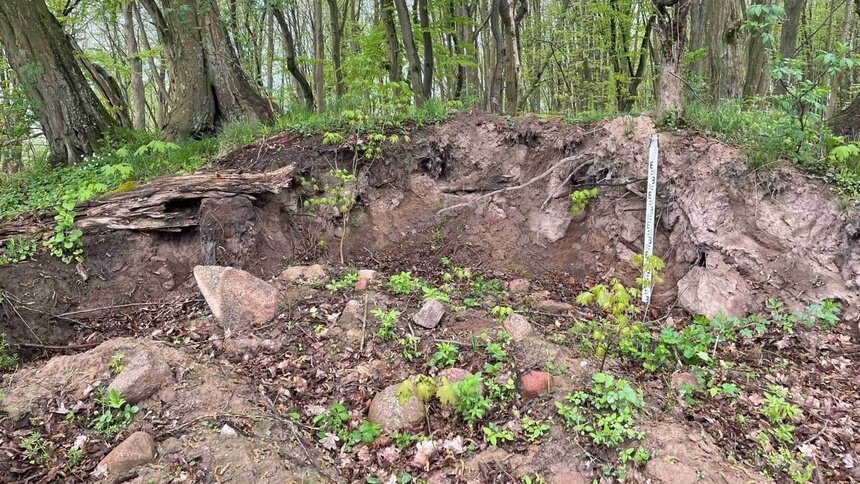 В Зеленоградском районе неизвестные разрыли древний могильник - Новости Калининграда |  Фото: страница «Служба ОКН 39» «ВКонтакте»