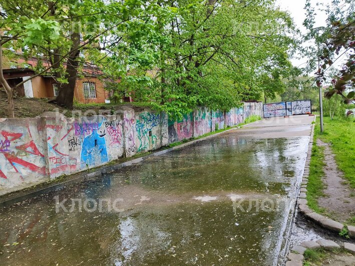 Разруха, вонь и плесень: тротуар возле Нижнего озера заболотили канализационные стоки (фото)   - Новости Калининграда | Фото: очевидец 