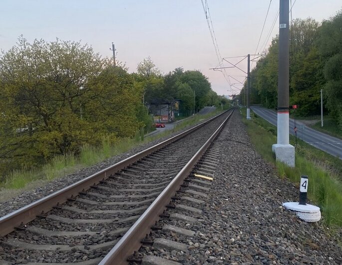 Под Светлогорском поезд сбил переходившего пути пьяного мужчину  - Новости Калининграда | Фото: Западное ЛУ МВД России на транспорте 