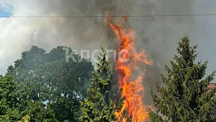 Что случилось в Калининградской области: главное на 27 мая - Новости Калининграда | Фото: «Клопс»