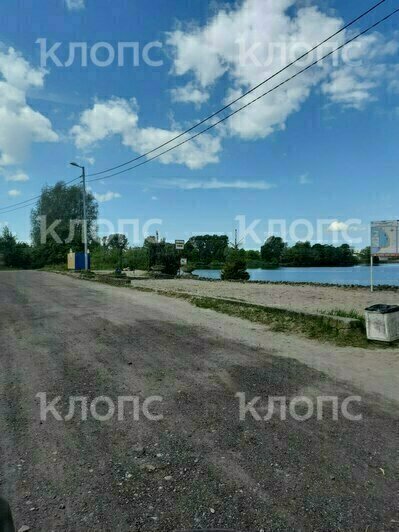 На городских озёрах в Калининграде уже начали купаться: спасатели выставили семь постов (фото) - Новости Калининграда | Фото: очевидец