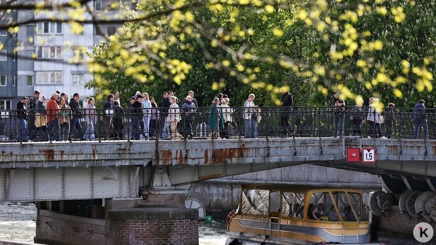 Пойдёт небольшой дождь: погода в Калининграде и области в понедельник - Новости Калининграда | Фото: Александр Подгорчук / «Клопс»