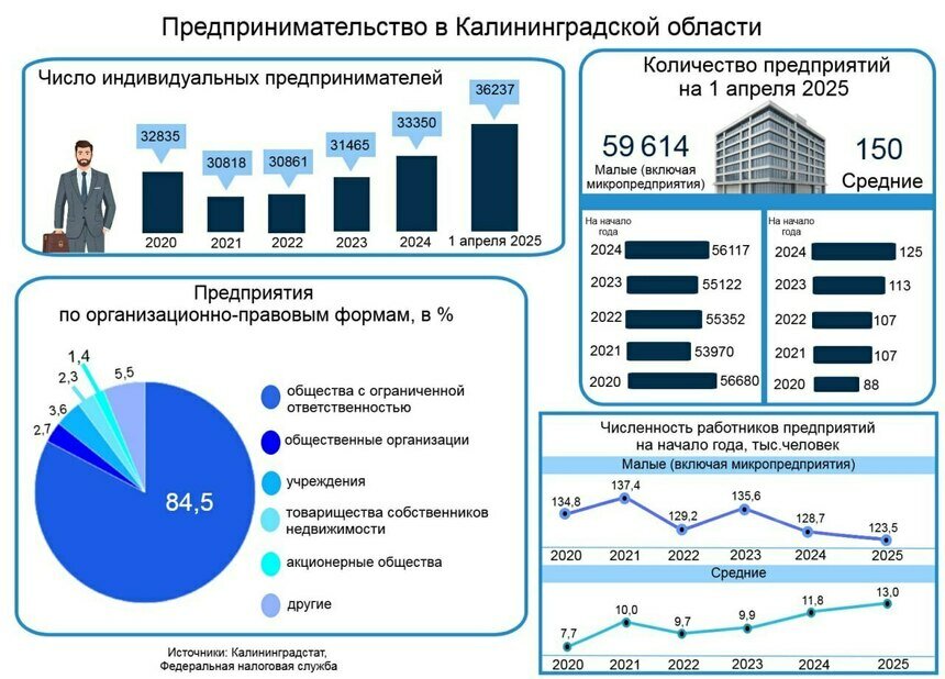 Рекорд по предпринимателям и рост среднего бизнеса в Калининградской области | Инфографика: Артем Пахоменко