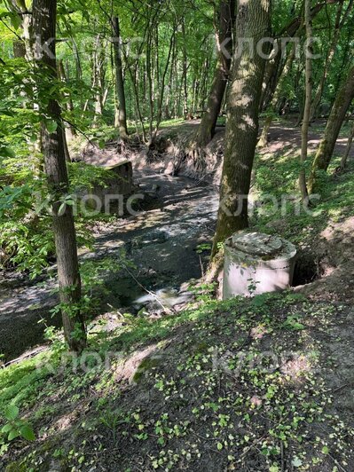 Жители Гурьевска пожаловались на вонь рядом с Парком света, «Водоканал» пообещал разобраться с проблемой - Новости Калининграда | Фото: очевидец 