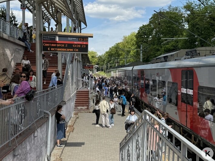 Люди суетливо спускаются на дневную электричку до Светлогорска. | Фото: «Клопс»