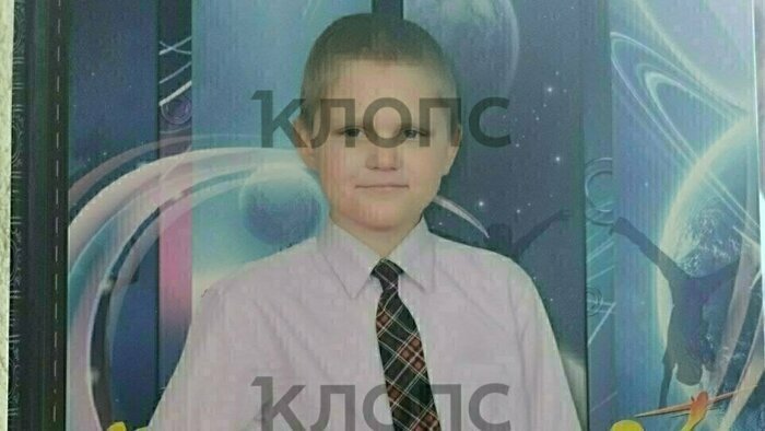 Что случилось в Калининградской области: главное на 29 мая - Новости Калининграда | Фото: «Клопс»