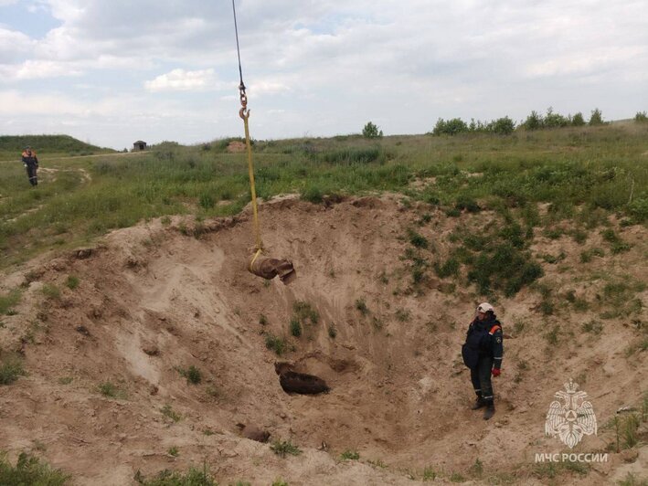 В Калининградской области за раз уничтожили 13 авиабомб и 22 взрывателя времён Великой Отечественной войны - Новости Калининграда | Фото: МЧС Калининградской области 