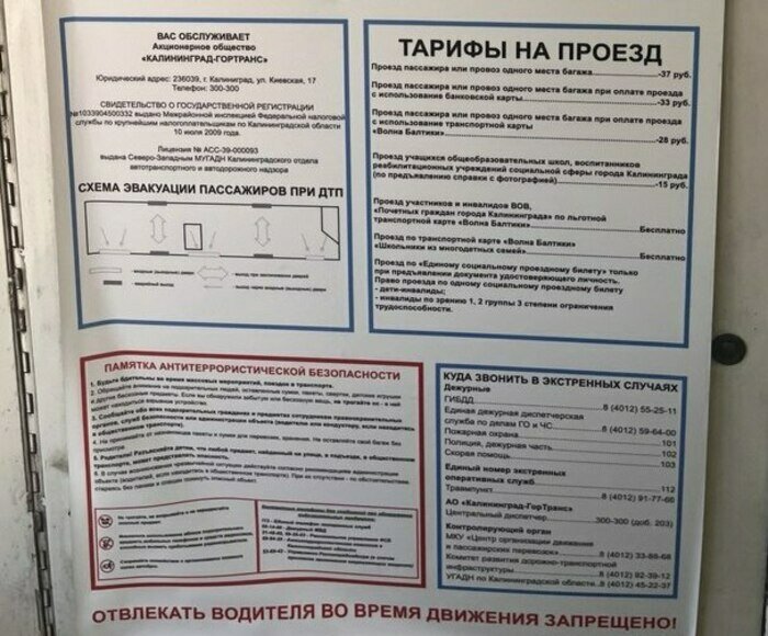 Калининградского ребёнка заставили заплатить за провоз велосипеда сумму почти в три раза выше стоимости школьного билета - Новости Калининграда | Фото: «Клопс»