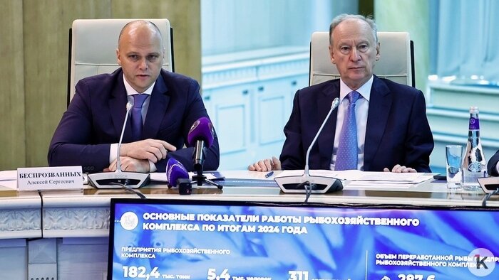 Электросамокаты как беда, картофельное облегчение и мусорная головоломка: события недели, которые обсуждали в Калининграде   - Новости Калининграда | Фото: Александр Подгорчук / Архив «Клопс»