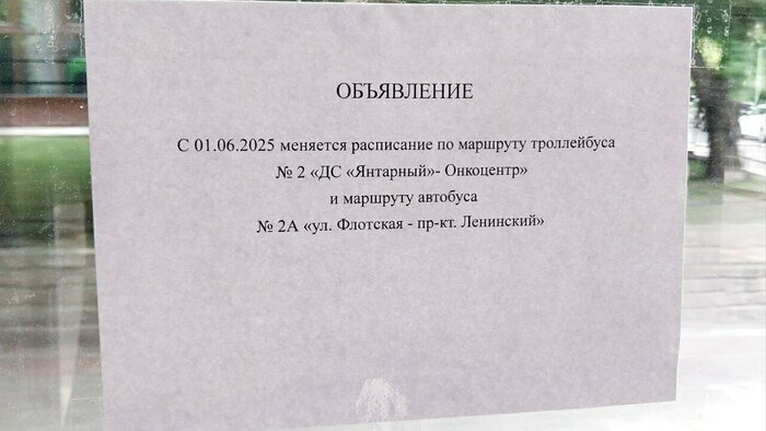 Сам себе контролер: калининградка сгорела на солнцепёке, пока ждала автобус на остановке в выходные - Новости Калининграда | Фото Михаила Лаврукайтиса