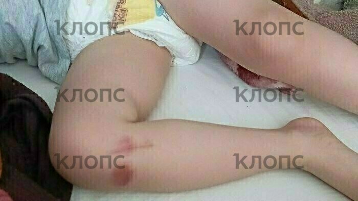 Что случилось в Калининградской области: главное на 2 июня - Новости Калининграда | Фото: очевидец