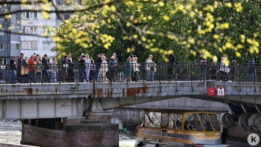Порывы до 9 м/с: погода в Калининграде и области в понедельник - Новости Калининграда | Фото: Александр Подгорчук / Архив «Клопс»