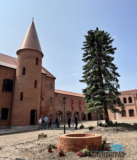 Экс-губернатор Антон Алиханов пообещал заехать в замок Нойхаузен | Фото: Оксана Сазонова