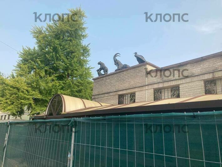 «Я надеюсь, что это не будет неприятным сюрпризом»: в кафе «Солянка» у Калининградского зоопарка начался ремонт (фото) - Новости Калининграда | Фото: «Клопс»‎