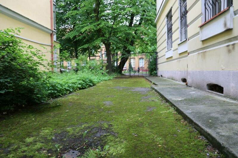 Дятлова рассказала, сколько заявок поступило на ремонт калининградских дворов в 2026 году   - Новости Калининграда | Фото: телеграм-канал Елены Дятловой