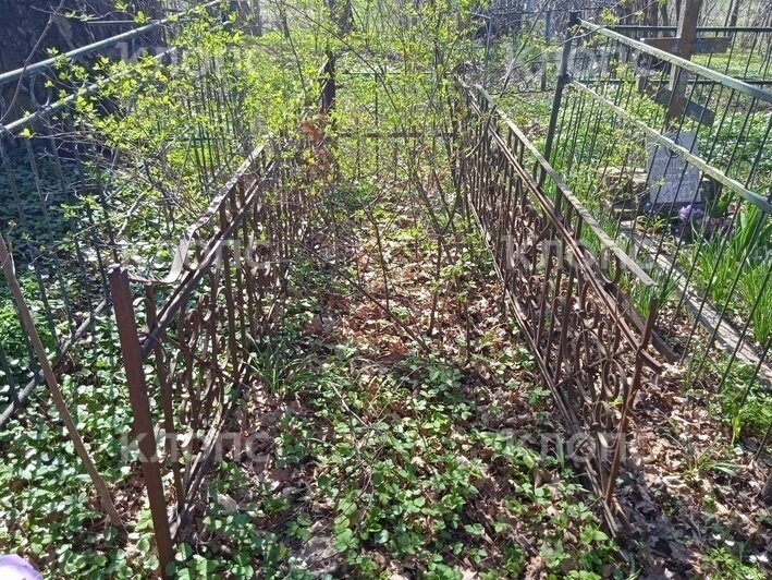 «В одной из разрушенных могил покоилась 5-летняя Люся Чупанова»: родные похороненных в Сиренево вступились за кладбище - Новости Калининграда