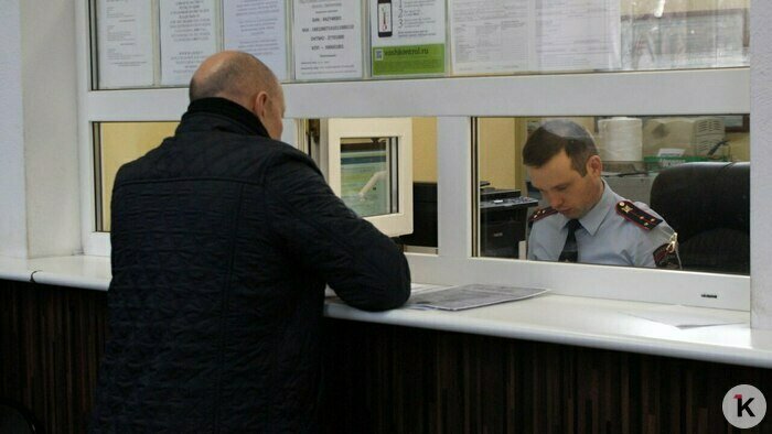 Пляски на костях, деревья без корней и конфискация авто: события недели, которые обсуждали в Калининграде   - Новости Калининграда | Фото: Александр Подгорчук / Архив «Клопс»