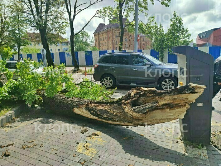 Место происшествия  | Фото: Алина Соболева 