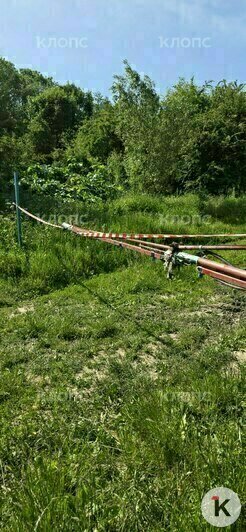 Рядом с полем фермеры останавливают желающих увидеть маки | Фото: «Клопс»
