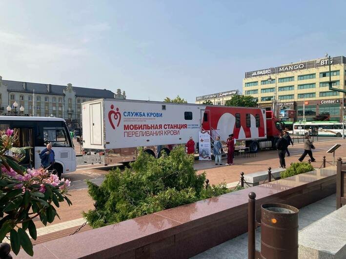 В Калининграде на площади Победы стартовала очередная акция по сбору донорской крови - Новости Калининграда | Фото: «Клопс»