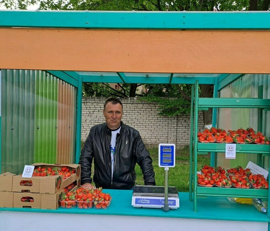 Фермер из Полесского округа рассчитывает собрать 30 тонн клубники | Фото из социальной сети Вк Семейная ферма КФХ Шкенев В.Н. (г. Полесск)