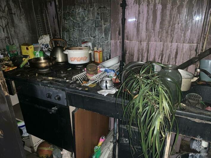 «Спасены две женщины»: на Окской из-за короткого замыкания сгорела квартира (фото)   - Новости Калининграда | Фото: ГУ МЧС по Калининградской области