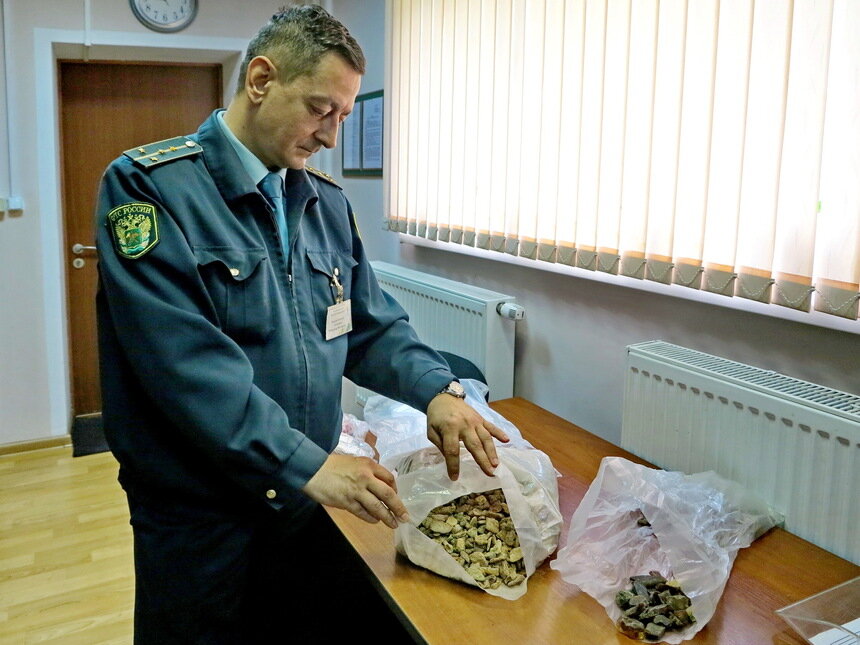 Калининградец пытался вывезти из региона янтарь почти на 40 тысяч рублей - Новости Калининграда | Фото: Отделение по связям с общественностью Калининградской областной таможни