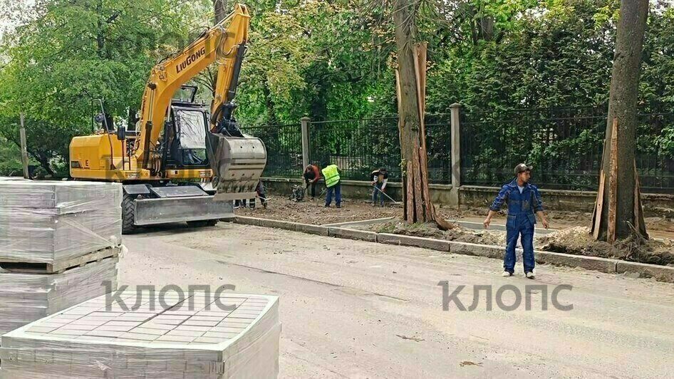 Власти Калининграда объяснили, зачем при ремонте тротуаров копают глубокие котлованы, подрубая корни деревьев   - Новости Калининграда | Фото: очевидец