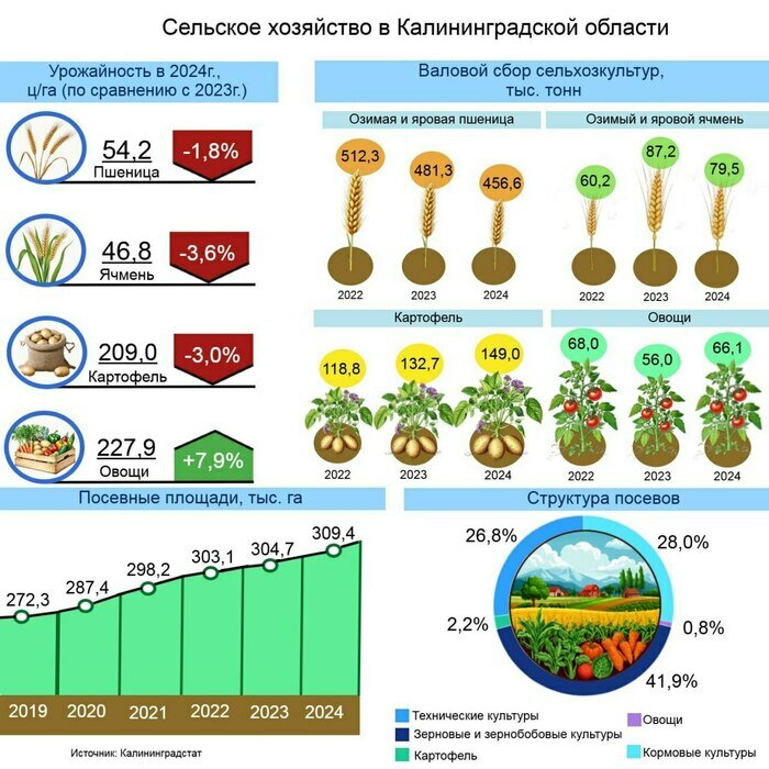Калининградская область сделала ставку на картофель и овощи | Инфографика: Артем Пахоменко