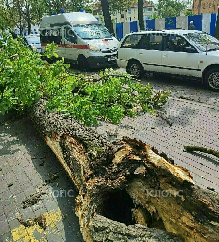 Место происшествия  | Фото: Алина Соболева 