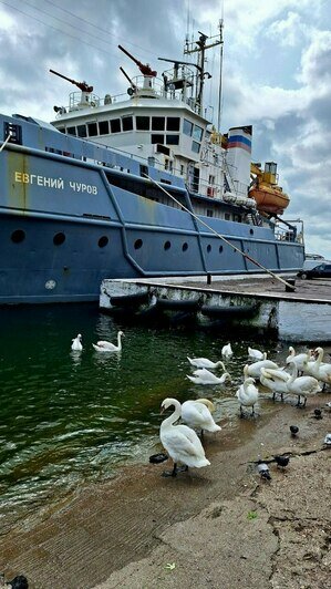 Триста километров и пироги со шпротами: велосипедисты из Волгограда объехали калининградское побережье за пять дней - Новости Калининграда | Фото: архив героини материала