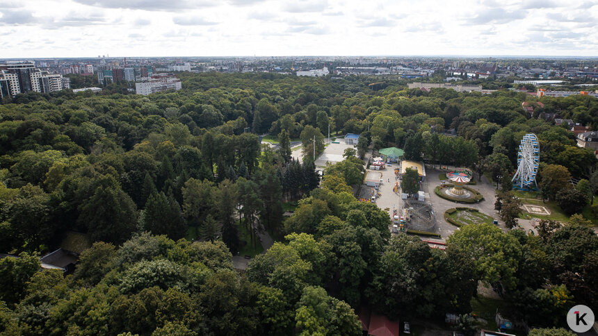 Власти Калининграда сообщили, сколько и кому земли раздали в городе с начала 2025 года   - Новости Калининграда | Фото: Александр Подгорчук / Архив «Клопс»