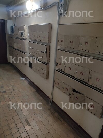 «Как в бомжатнике — жалко, запах не передать»: хит-парад самых убитых подъездов Калининграда и области, часть 7   - Новости Калининграда | Фото: очевидцы