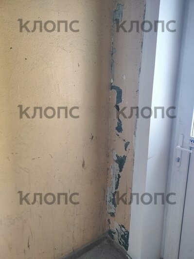 «Как в бомжатнике — жалко, запах не передать»: хит-парад самых убитых подъездов Калининграда и области, часть 7   - Новости Калининграда | Фото: очевидцы