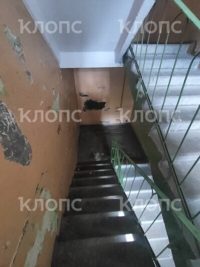 «Как в бомжатнике — жалко, запах не передать»: хит-парад самых убитых подъездов Калининграда и области, часть 7   - Новости Калининграда | Фото: очевидцы