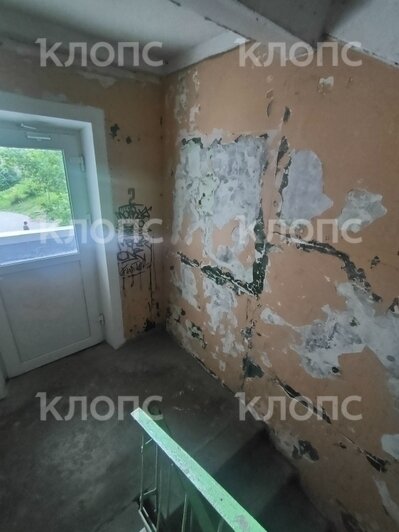 «Как в бомжатнике — жалко, запах не передать»: хит-парад самых убитых подъездов Калининграда и области, часть 7   - Новости Калининграда | Фото: очевидцы