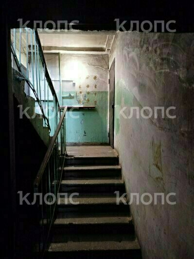 «Как в бомжатнике — жалко, запах не передать»: хит-парад самых убитых подъездов Калининграда и области, часть 7   - Новости Калининграда | Фото: очевидцы