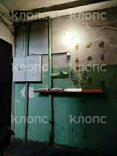«Как в бомжатнике — жалко, запах не передать»: хит-парад самых убитых подъездов Калининграда и области, часть 7   - Новости Калининграда | Фото: очевидцы