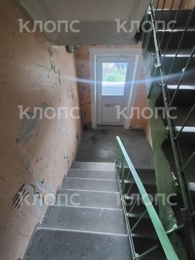 «Как в бомжатнике — жалко, запах не передать»: хит-парад самых убитых подъездов Калининграда и области, часть 7   - Новости Калининграда | Фото: очевидцы