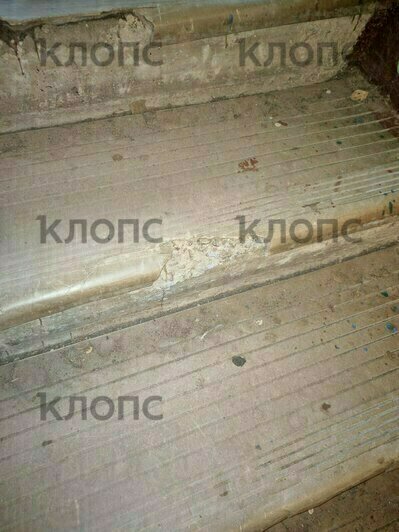 «Как в бомжатнике — жалко, запах не передать»: хит-парад самых убитых подъездов Калининграда и области, часть 7   - Новости Калининграда | Фото: очевидцы