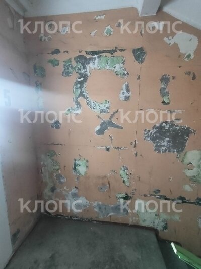 «Как в бомжатнике — жалко, запах не передать»: хит-парад самых убитых подъездов Калининграда и области, часть 7   - Новости Калининграда | Фото: очевидцы