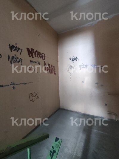 «Как в бомжатнике — жалко, запах не передать»: хит-парад самых убитых подъездов Калининграда и области, часть 7   - Новости Калининграда | Фото: очевидцы
