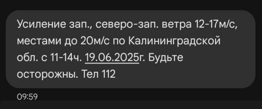 МЧС предупредило жителей Калининградской области о начинающемся усилении ветра  - Новости Калининграда | Иллюстрация: скриншот сообщения от МЧС РФ