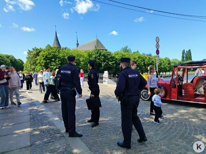 Фото за благодарность: как голуби на Острове Канта стали инструментом уличного заработка (фото, видео) - Новости Калининграда | Фото: «Клопс»