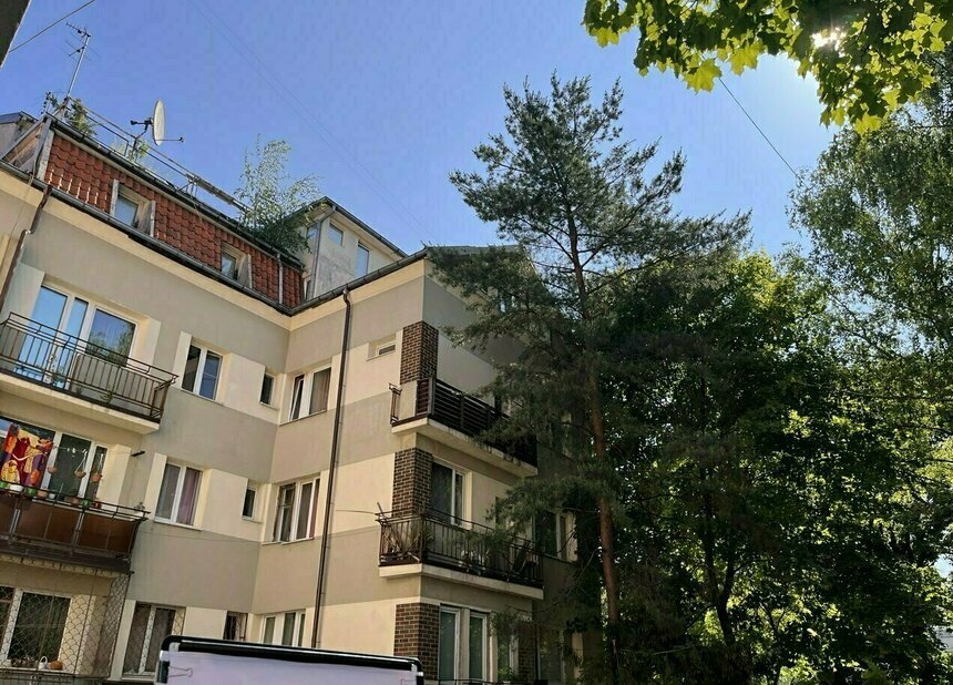 Дятлова объяснила, что делать, если ветки деревьев мешают в окне: секатор не поможет без разрешения | Фото: архив «СК»