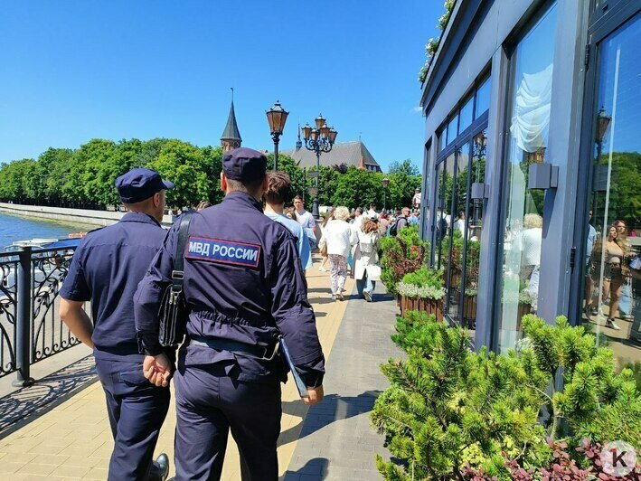Фото за благодарность: как голуби на Острове Канта стали инструментом уличного заработка (фото, видео) - Новости Калининграда | Фото: «Клопс»