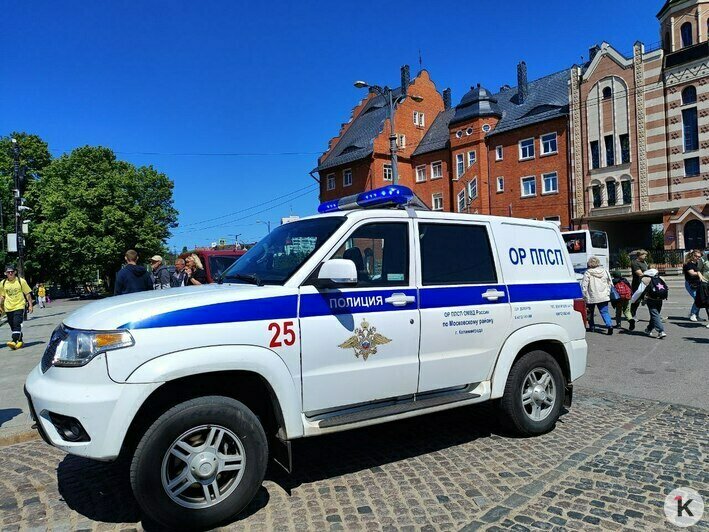 Фото за благодарность: как голуби на Острове Канта стали инструментом уличного заработка (фото, видео) - Новости Калининграда | Фото: «Клопс»