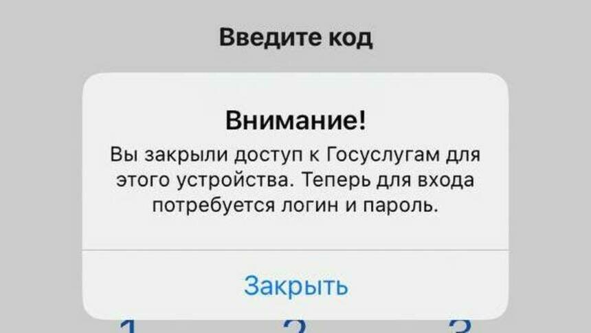 Калининградцы пожаловались на перебои в работе мобильного приложения госуслуг - Новости Калининграда | Скриншот приложения