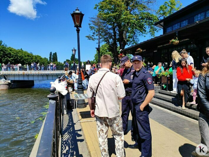 Фото за благодарность: как голуби на Острове Канта стали инструментом уличного заработка (фото, видео) - Новости Калининграда | Фото: «Клопс»